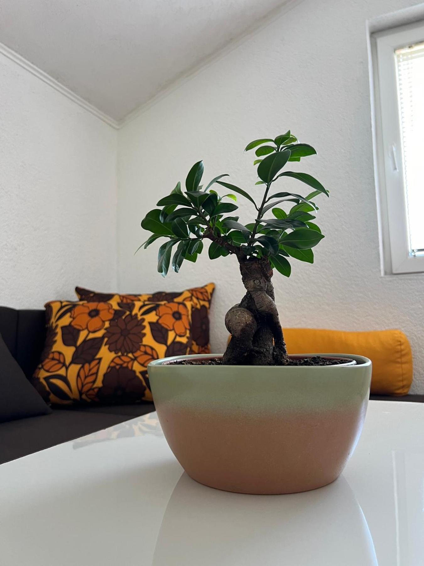 Guest House Veljanoski Ohrid Habitación foto